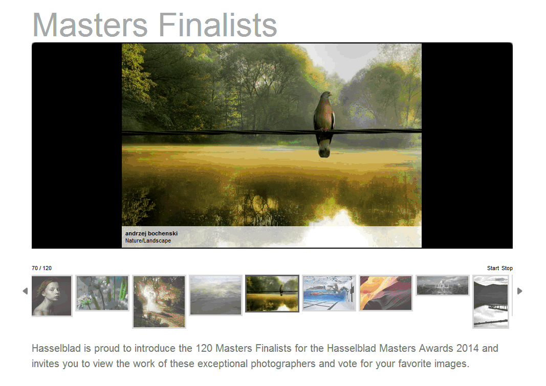 Hasselblad Awards 2013