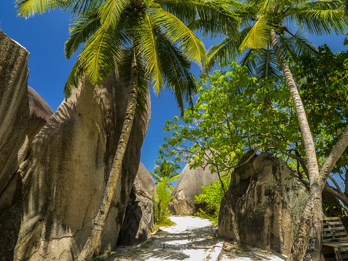 Seychelles, un sueño real