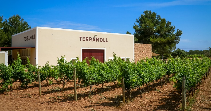 Saborear Formentera… ¡a través de sus vinos!