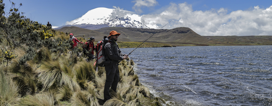 Los humedales, un recurso natural que atrae miles de turistas a Quito
