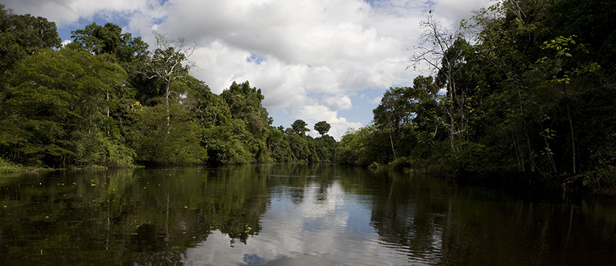 Vive la experiencia de descubrir la Amazonía peruana en un crucero de lujo.