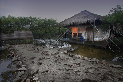 Tienda Mandvi, Foto Harry Fish