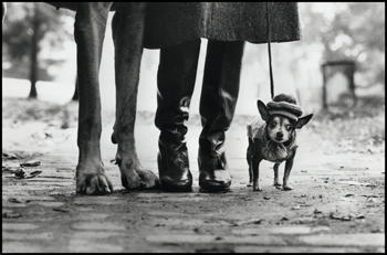 USA. New York. 1974. Felix, Gladys and Rover © Elliott Erwitt/Magnum Photos