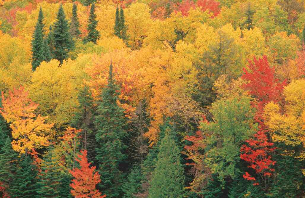 Quebec, Canada