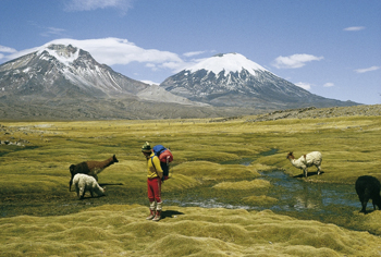 Parques de Chile