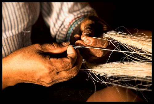 © Simón Brauer (Ecuador)