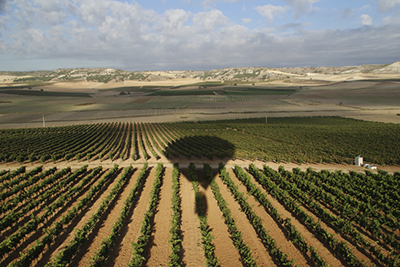 Ribera Guadiana
