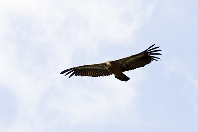 FIO Extremadura