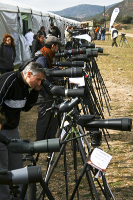 FIO Extremadura