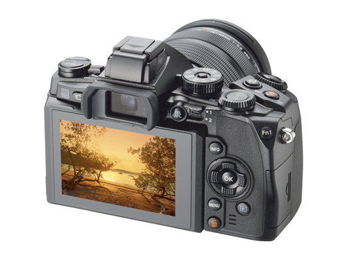 Olympus OM-D E-M1: Potente visor
