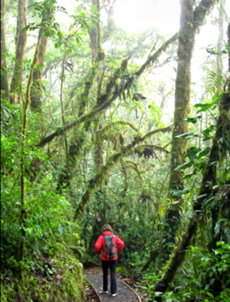 Costa Rica, Pura Vida