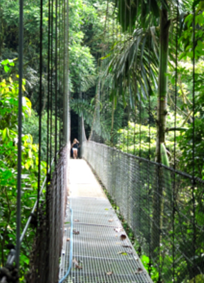 Costa Rica, Pura Vida