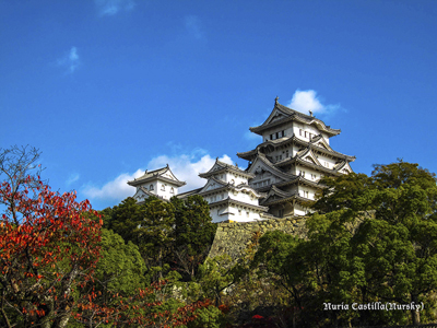 Japón, algo más que Tokio