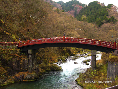 Japón, algo más que Tokio