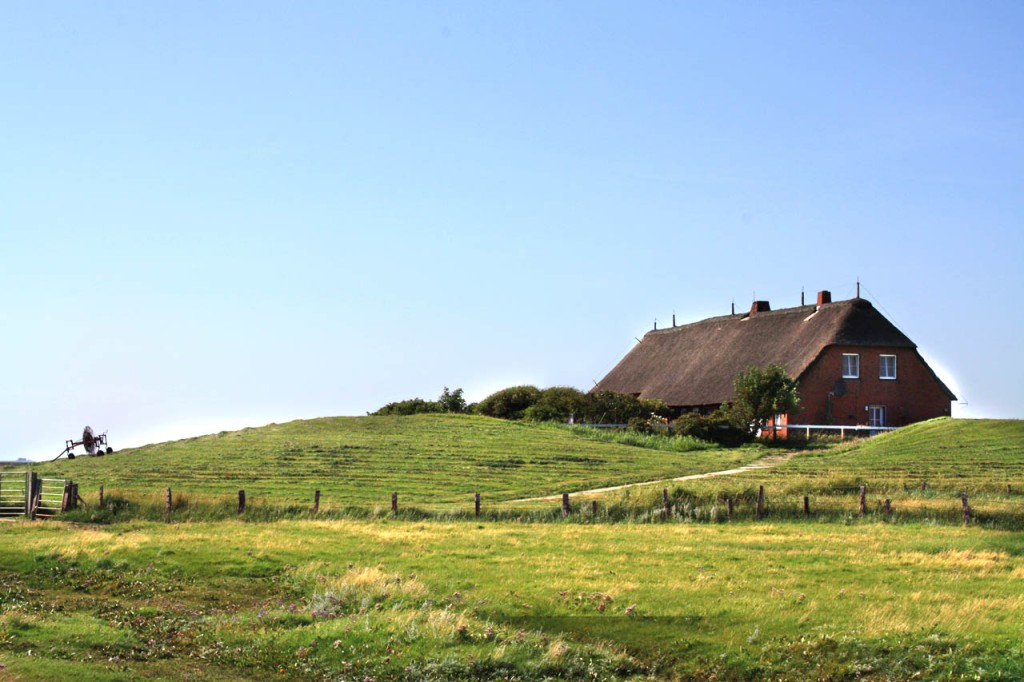 El Mar de Wadden, la  Llanura de mareas