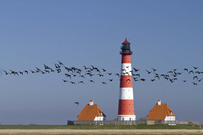El Mar de Wadden, la  Llanura de mareas