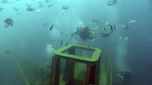La gran experiencia de buceo en Algarve