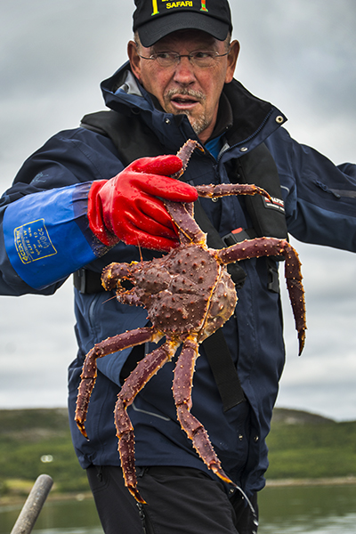 Noruega, Viaje al Norte