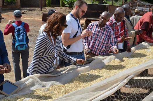 Tours por los productos estrella de Kenia