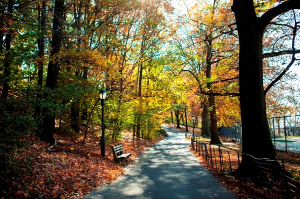 Descubre Nueva York en otoño
