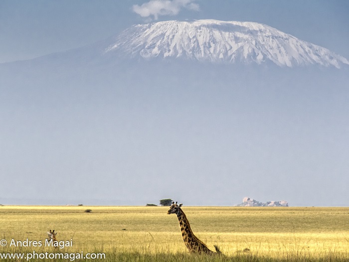 Descubre el romance en Africa junto a Ethiopian Airlines