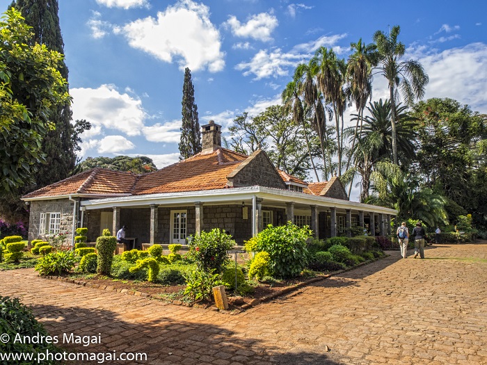 Descubre el romance en Africa junto a Ethiopian Airlines