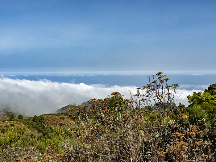 El Arte y la Cultura en la Isla de La Palma