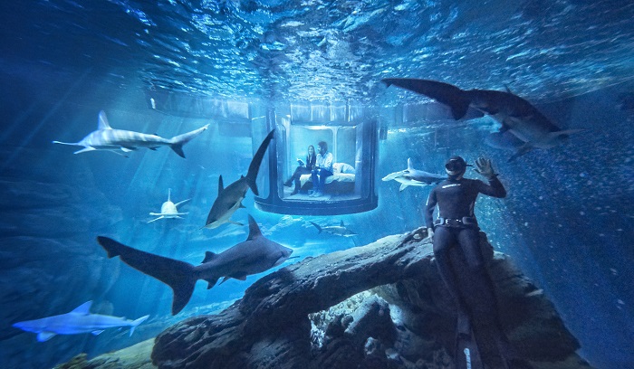 Una noche entre tiburones en el Acuario de Paris