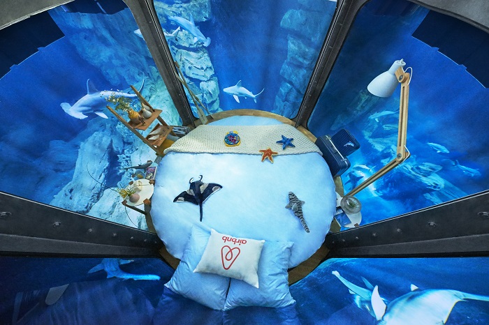 Una noche entre tiburones en el Acuario de Paris