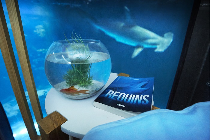 Una noche entre tiburones en el Acuario de Paris