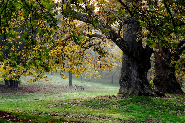 Imagen: Un rincón del Villa Borghese, en Roma. Flickr / Creative Commons - Paolo Fefe