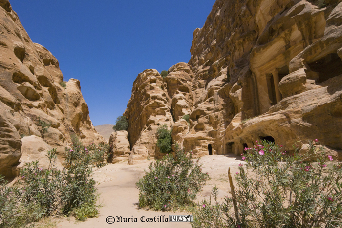 La Pequeña Petra
