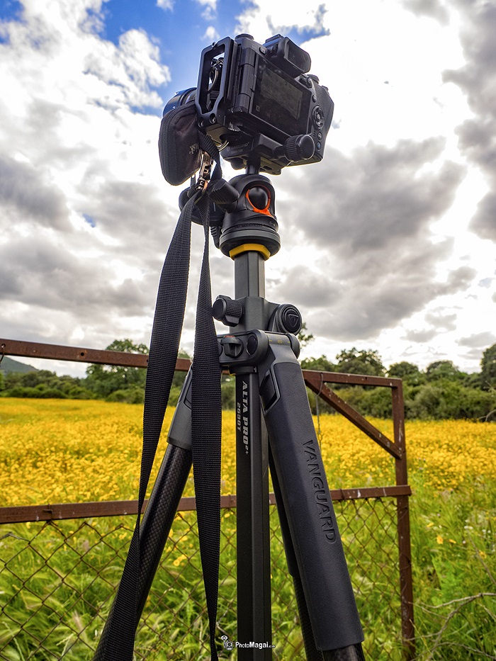 Vanguard, el Alta Pro 2+ 263 CT. El Tripode