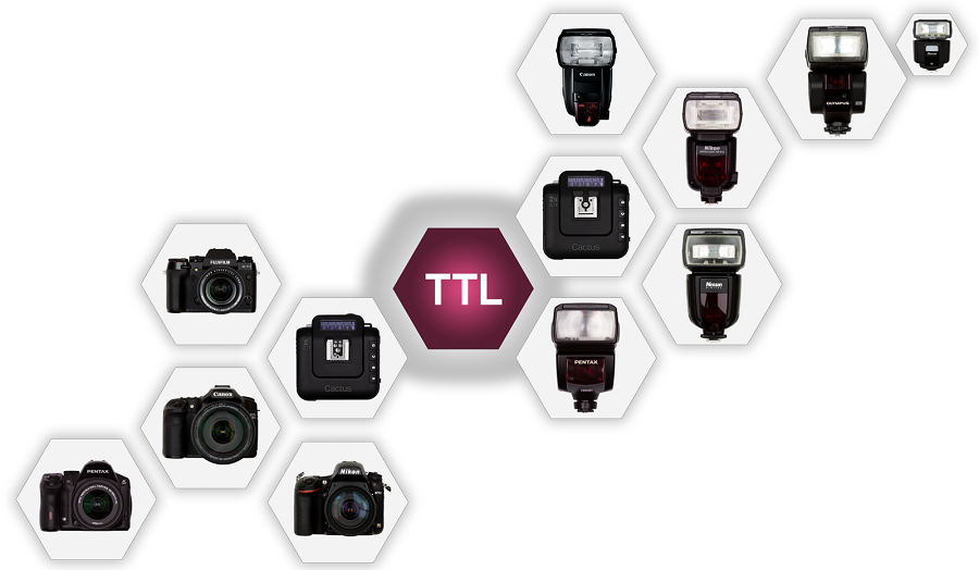#TTLsinATADURAS