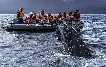 Australis presenta en FITUR nuevo barco y nueva ruta