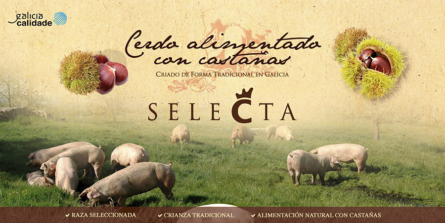 Presentación del Menú Otoño Saludable 2018