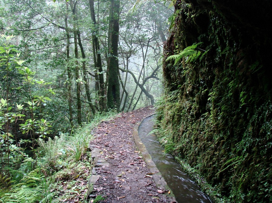 Madeira es el mejor destino insular del mundo en 2017