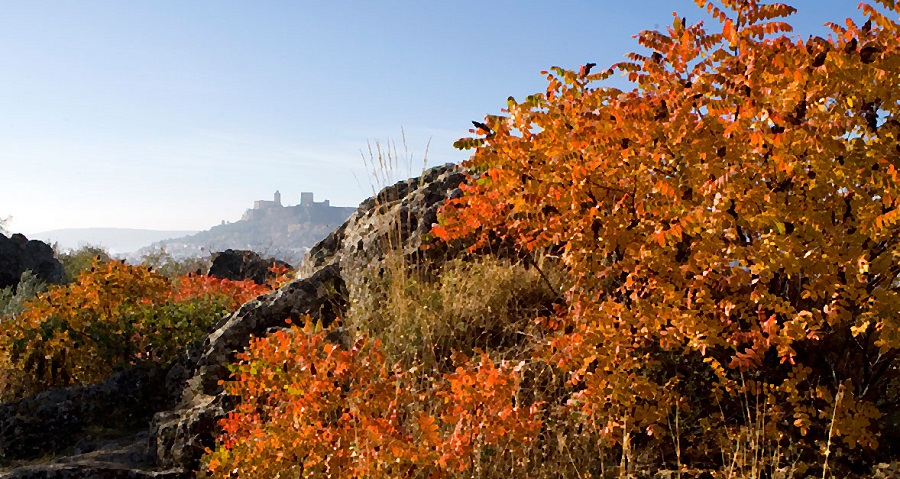 Un otoño apasionante en Caminos de Pasión