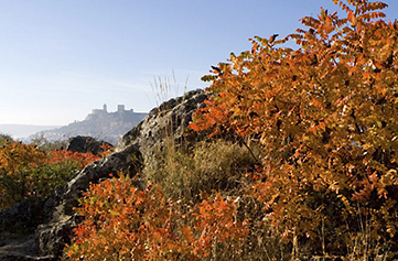 Un otoño apasionante en Caminos de Pasión
