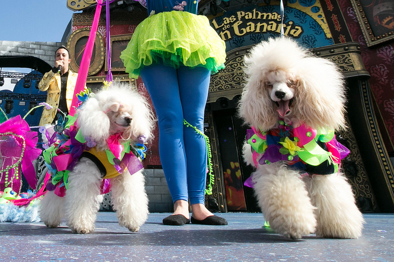 El Carnaval de Las Palmas de Gran Canaria mira al mundo