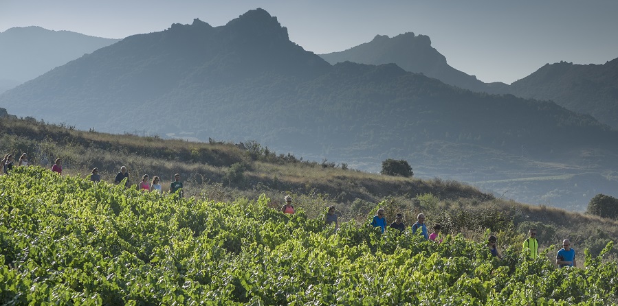 El Camino oculto de Santiago y la Rioja Alavesa