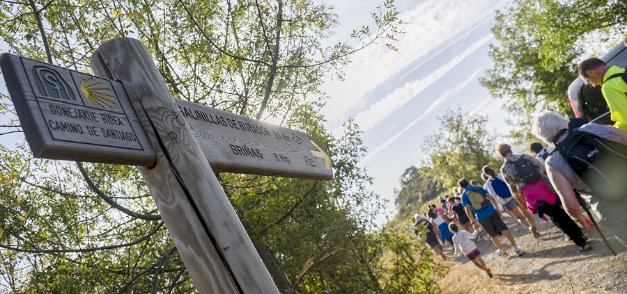 El Camino oculto de Santiago y la Rioja Alavesa