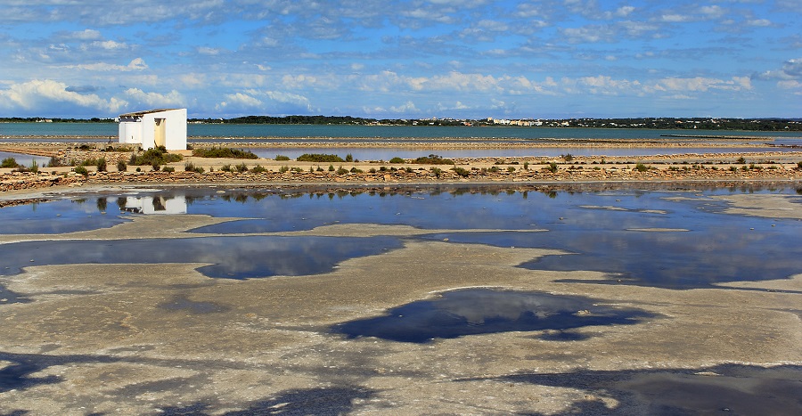 Formentera estrena nueva ruta birding