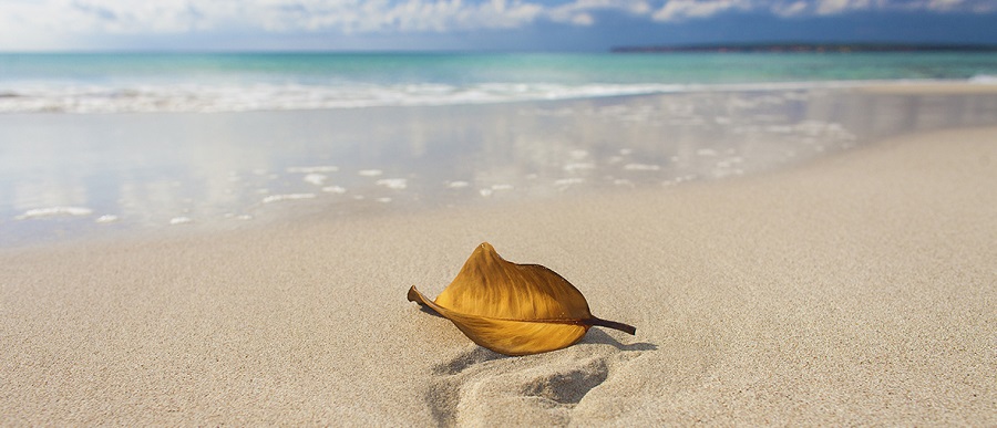 Formentera zen