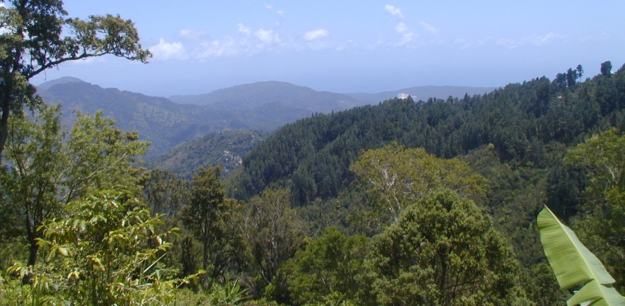 Jamaica se consolida como destino ecoturístico para 2021