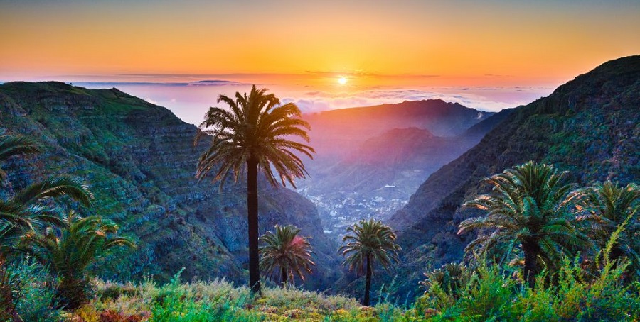Las más sorprendentes historias de viaje registradas en Kiwi.com