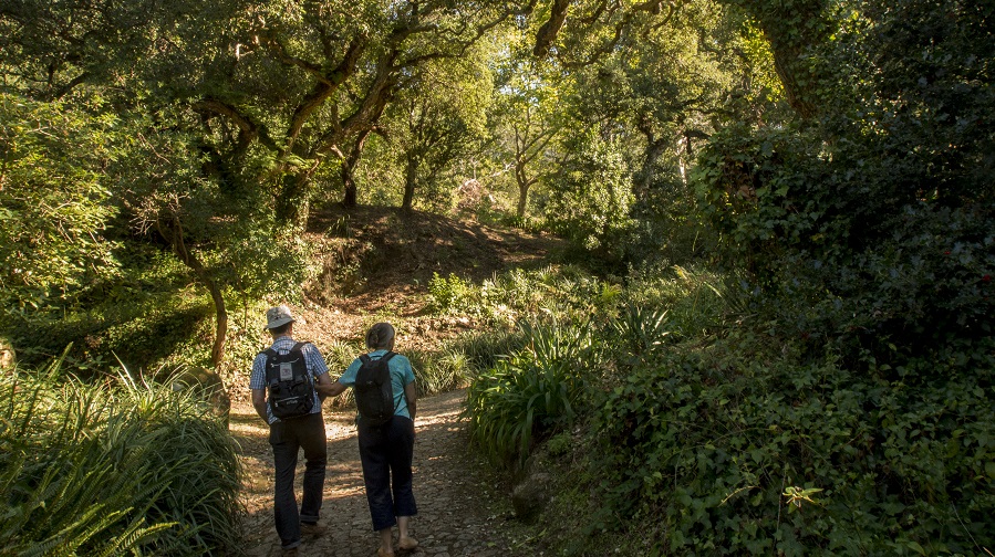 Lisboa se posiciona como un destino para el turista sostenible