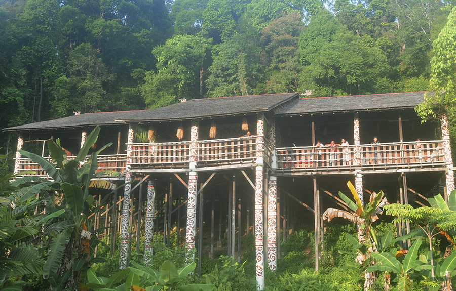 Bienvenidos a Belum Rainforest