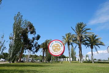 El camping, el lugar donde el distanciamiento social está garantizado