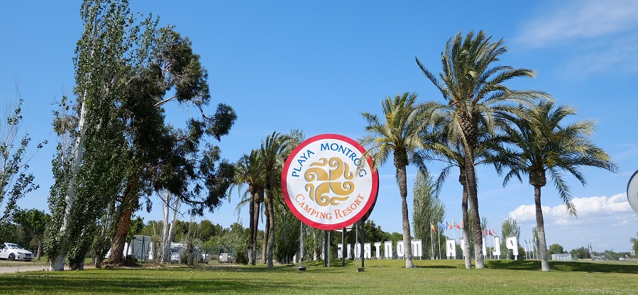 El camping, el lugar donde el distanciamiento social está garantizado